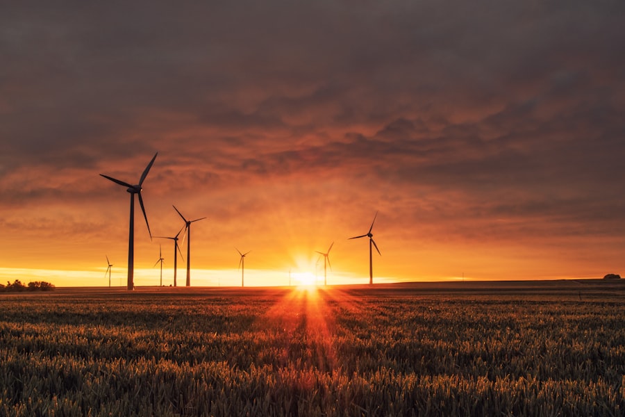 Environment and sustainability